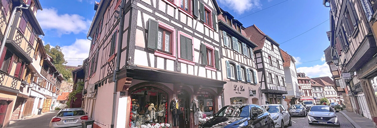 Immeuble  230 m² à vendre à Obernai (67210)