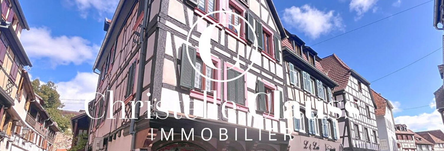 Immeuble  230 m² à vendre à Obernai (67210)