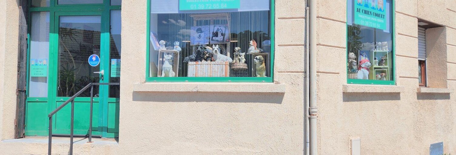 Commerce  54 m² à vendre à Conflans-Sainte-Honorine (78700)