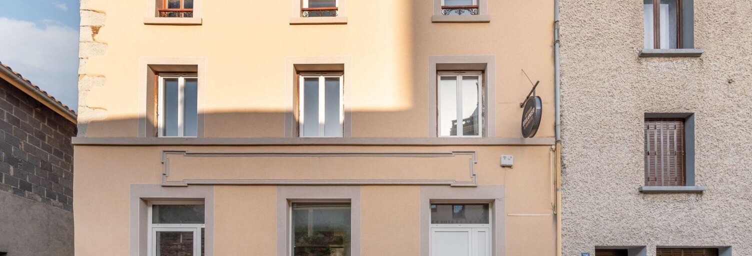 Commerce  250 m² à vendre à Chabanière (69440)