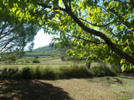 Villa avec piscine. Environnement campagne. — photo 4