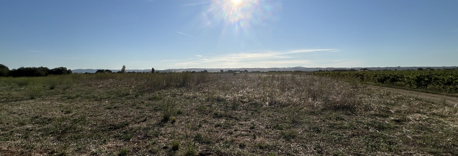 Terrain  40000 m² à vendre à Mèze (34140)