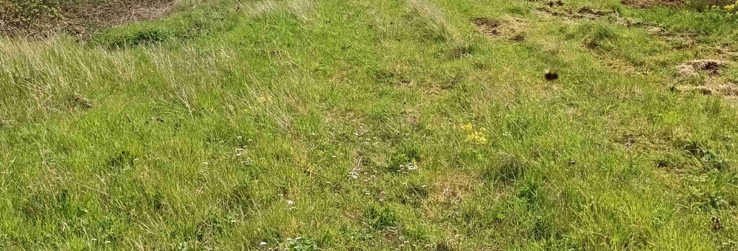 Terrain  1505 m² à vendre à Châteaubleau (77370)