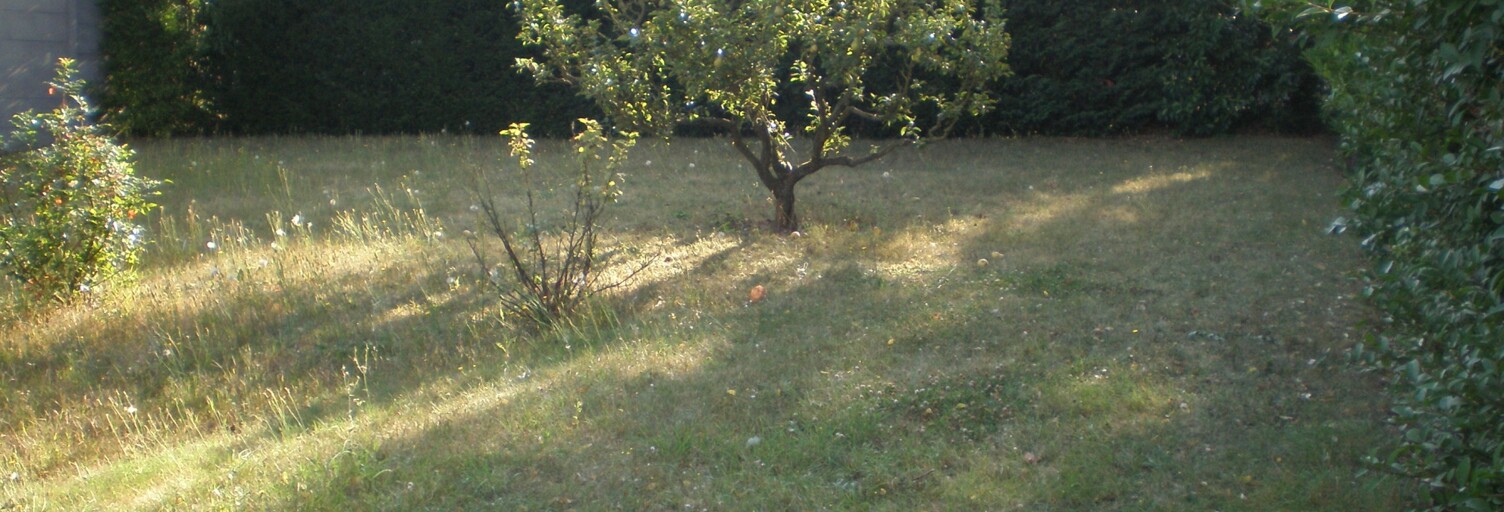 Terrain  314 m² à vendre à Saintry-sur-Seine (91250)