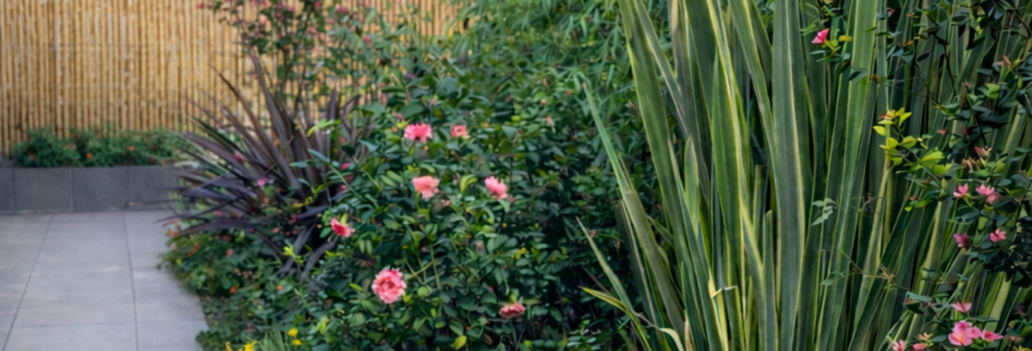 Appartement 3 Pièces 60 m² à vendre à La Rochelle (17000)