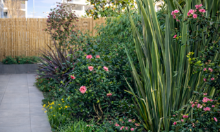 Appartement 3 Pièces 59 m² à vendre à La Rochelle (17000)