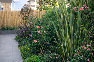 Appartement 3 pièces 328000 €