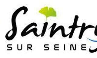 Terrain  409 m² à vendre à Saintry-sur-Seine (91250)