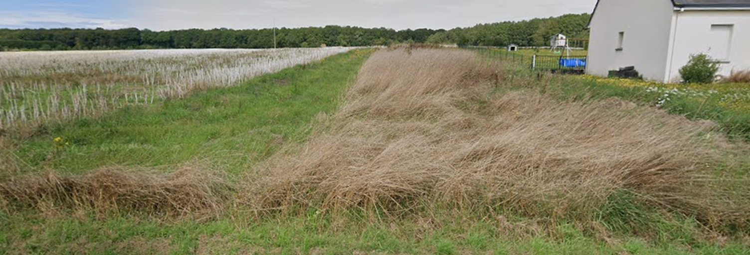 Terrain  1157 m² à vendre à Chandai (61300)