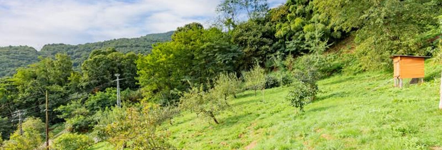 Maison 5 Pièces 149 m² à vendre à Prayols (09000)