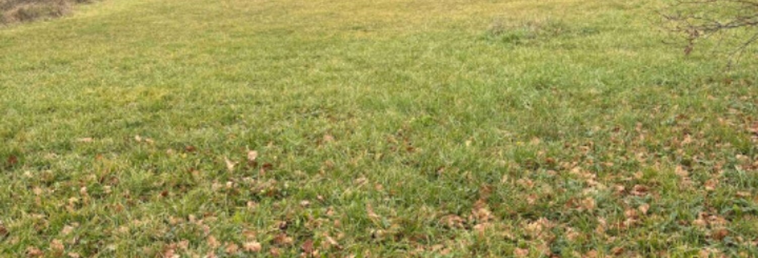 Terrain  650 m² à vendre à Coutras (33230)