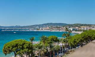 Appartement 2 Pièces 60 m² à vendre à Cannes (06400)