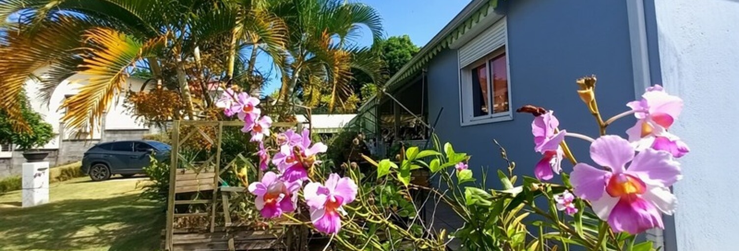 Maison 79 m² en viager Baie-Mahault (97122)