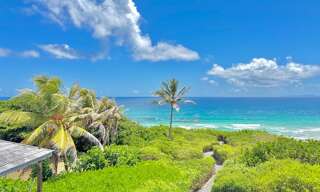 Maison 5 Pièces 151 m² à vendre à Le Moule (97160)