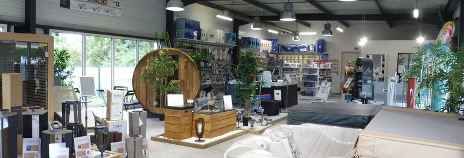 Maison  350 m² à vendre à Amboise (37400)