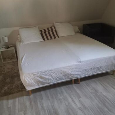 Appartement 1 pièces 550 €