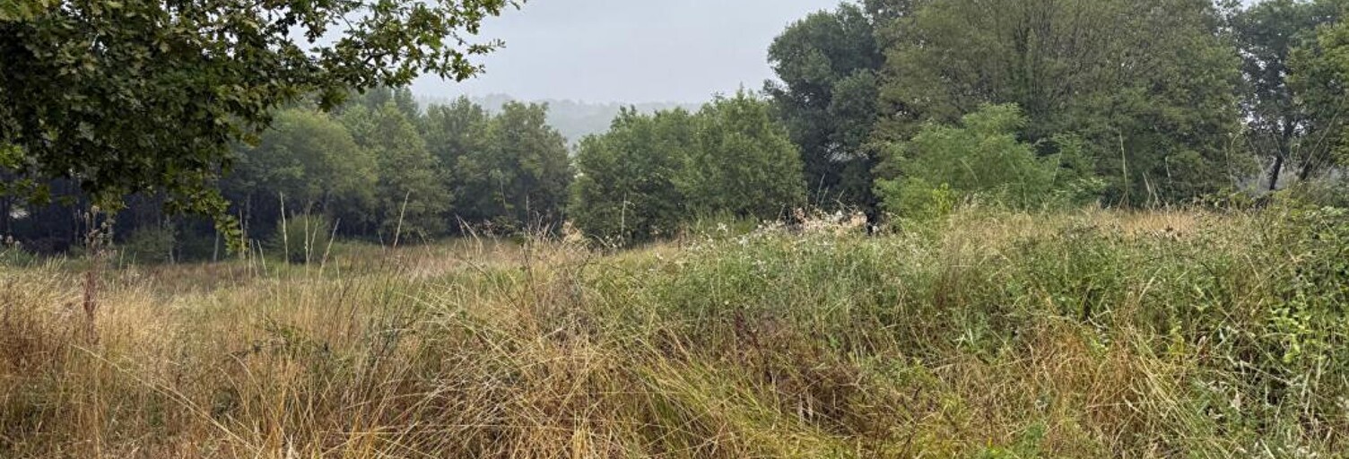 Terrain  1300 m² à vendre à Saint-Martin-de-Laye (33910)