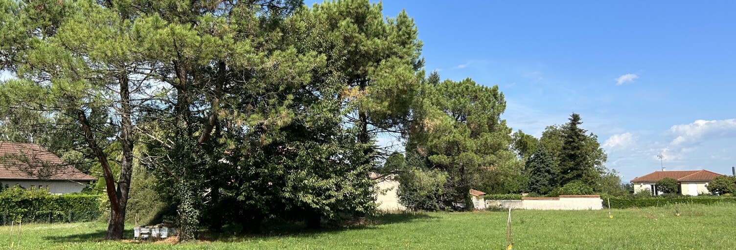 Terrain  581 m² à vendre à Marennes (69970)