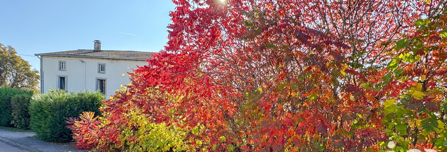 Maison 5 Pièces 142 m² à vendre à Gruey-lès-Surance (88240)