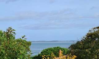 Appartement 1 Pièce 32 m² à vendre à Arcachon (33120)