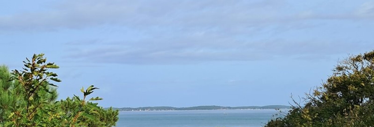 Appartement 1 Pièce 32 m² à vendre à Arcachon (33120)