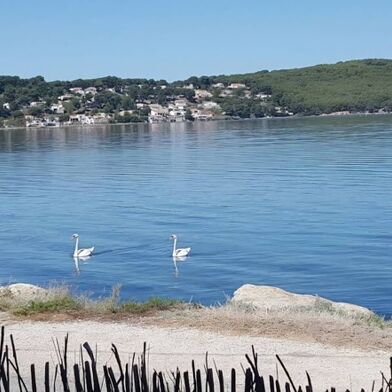 Maison 4 pièces 475000 €