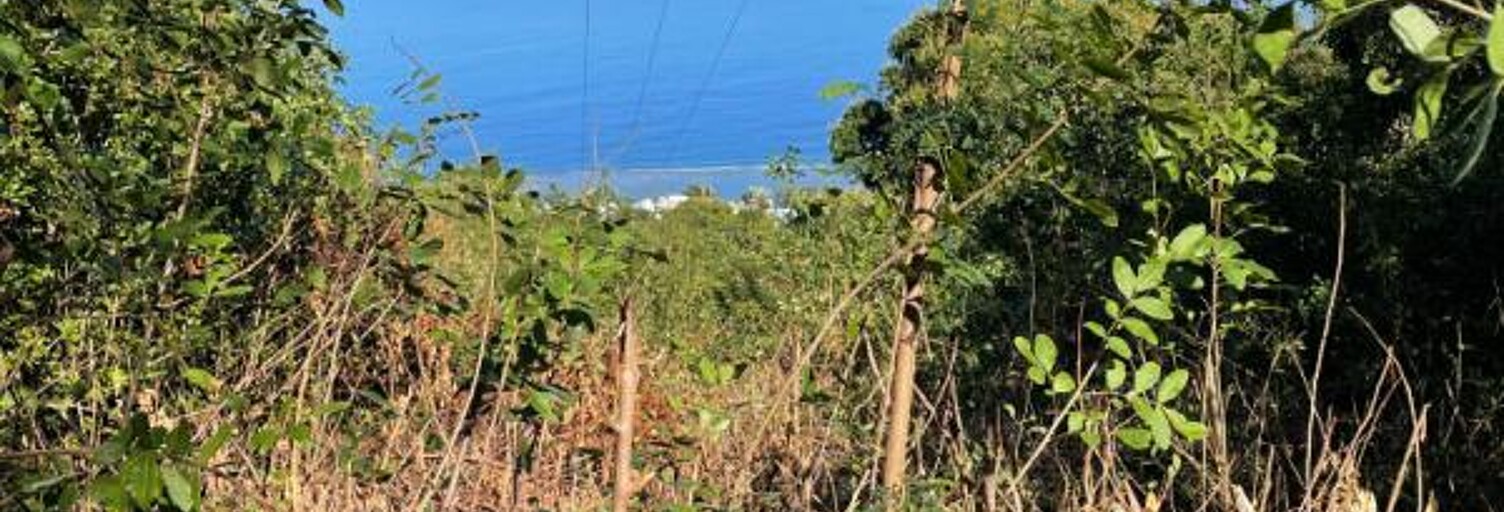 Terrain  3470 m² à vendre à Saint-Leu (97436)