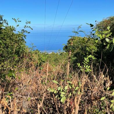 Terrain  1110000 €