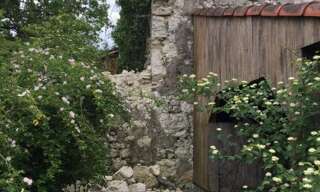 Photo N° 2