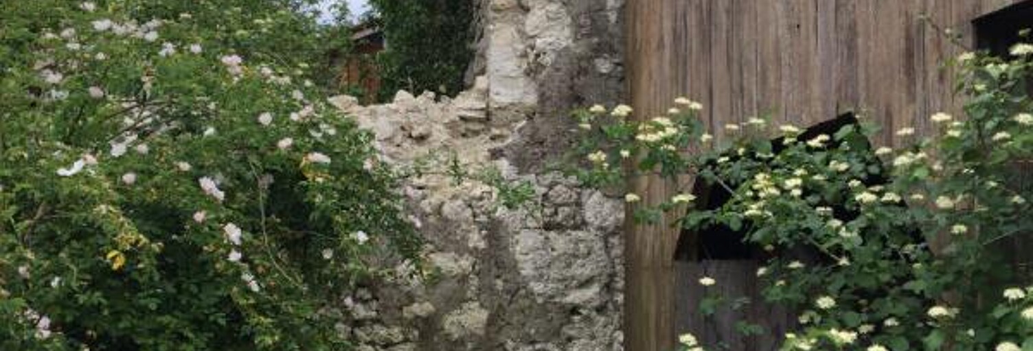 Photo N° 2