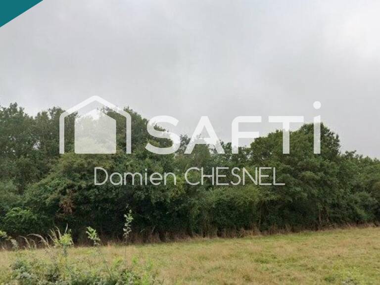 Terrain boisé de 6 585 m² à Lignières  idéal pour le bois de chauffage — photo 1