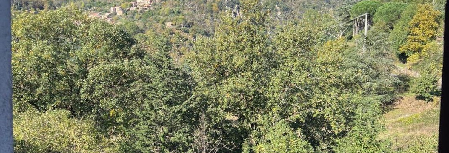 Maison 5 Pièces 90 m² à vendre à Saint-Vincent-d'Olargues (34390)