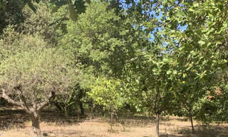 Terrain  1100 m² à vendre à Éguilles (13510)