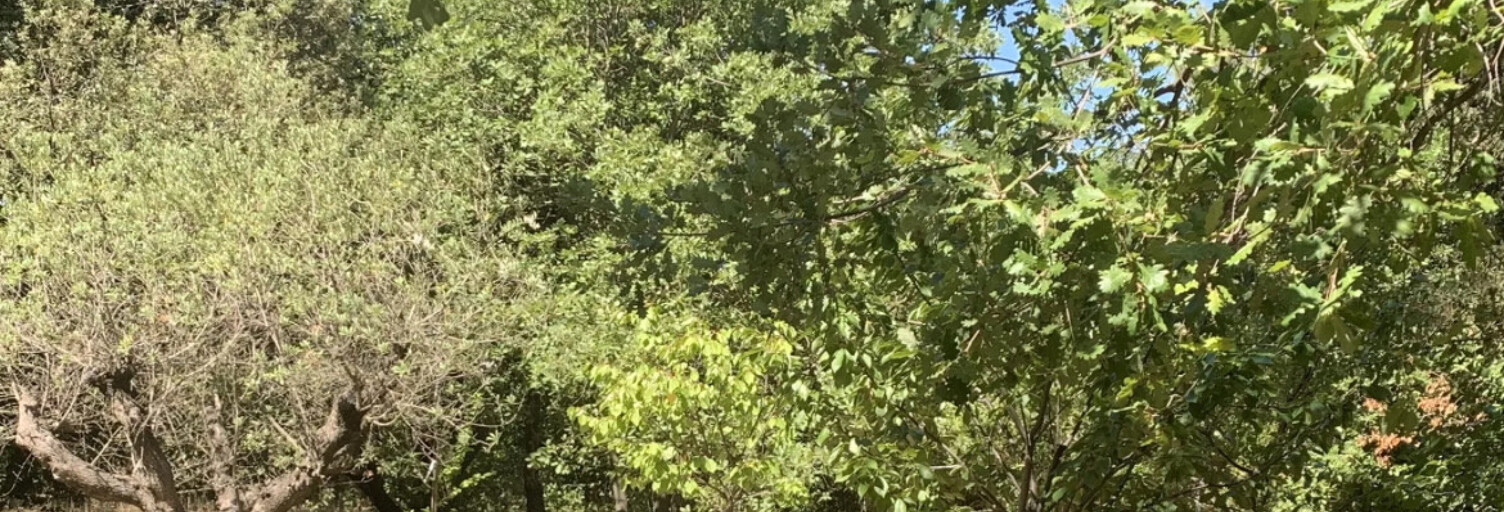 Terrain  1100 m² à vendre à Éguilles (13510)