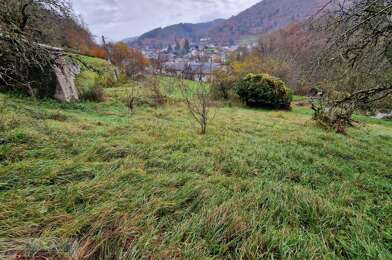 Terrain  15000 €