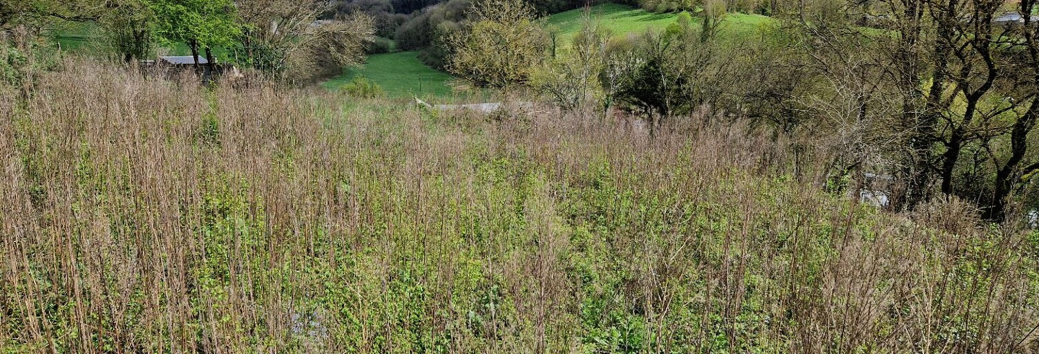 Terrain  1549 m² à vendre à Fontrieu (81260)
