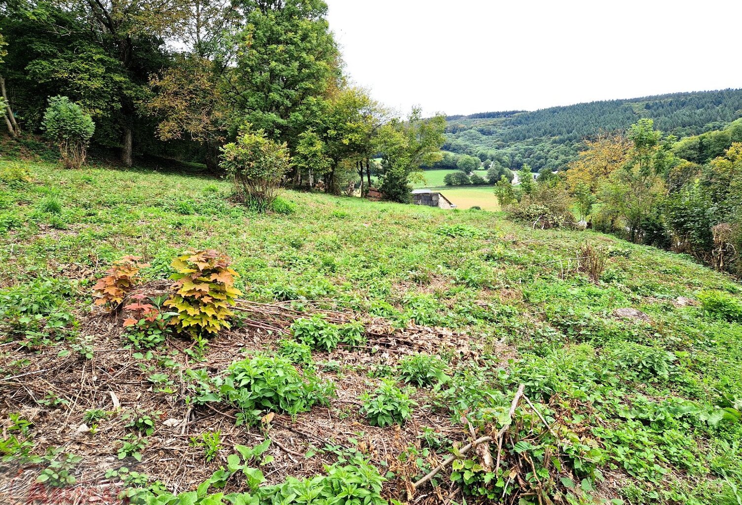 Terrain constructible — photo 1