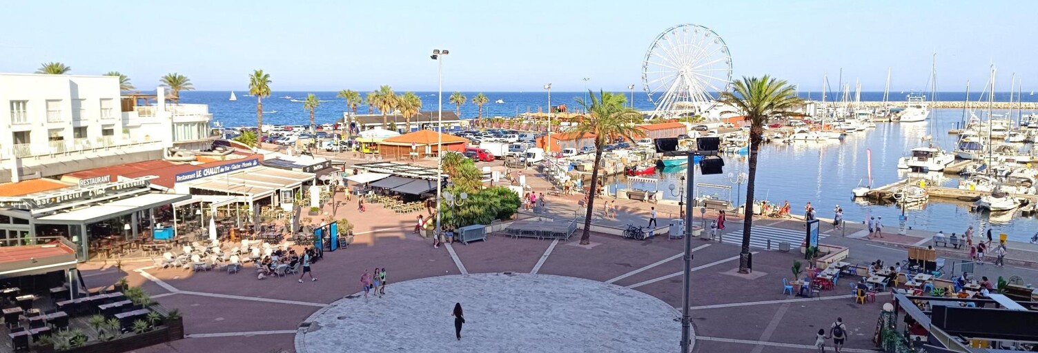 Appartement 1 Pièce 17 m² à vendre à Saint-Cyprien (66750)