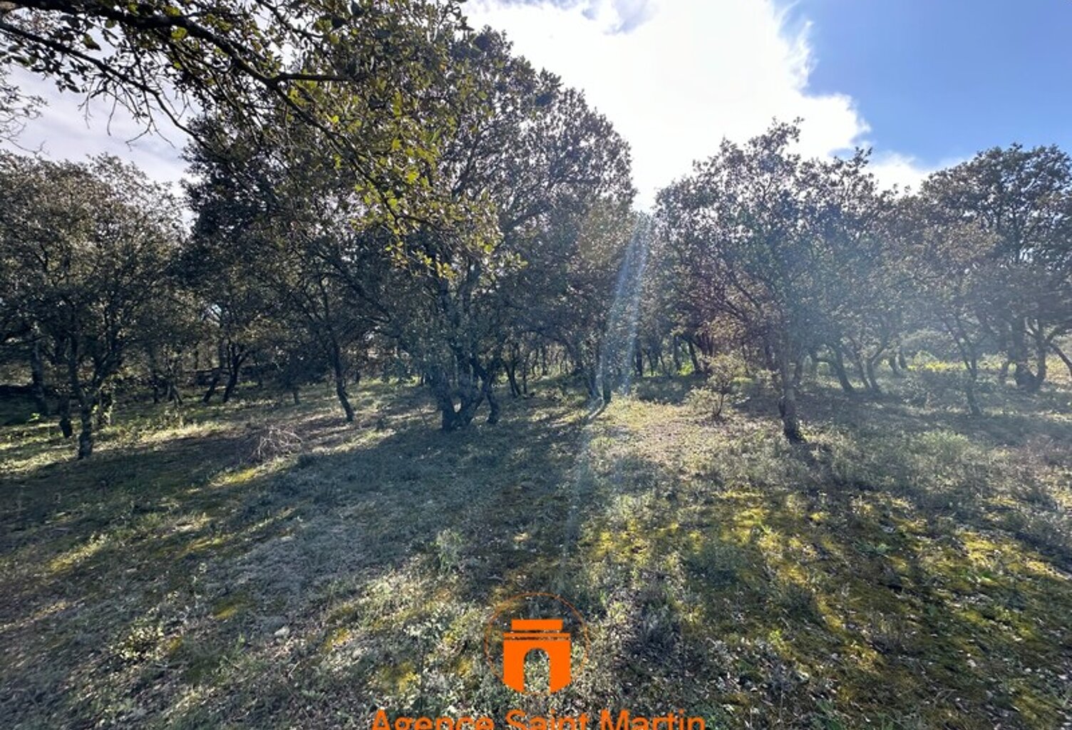 Terrain à Batir — photo 1