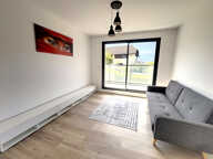 Brison-Saint-Innocent Villa contemporaine vue lac — photo 4