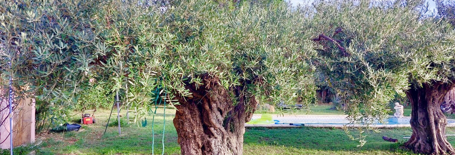 Maison 1 Pièce 70 m² à vendre à Montfrin (30490)