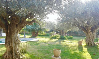 Maison 1 Pièce 70 m² à vendre à Montfrin (30490)