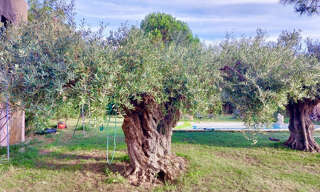 Maison 1 Pièce 70 m² à vendre à Montfrin (30490)