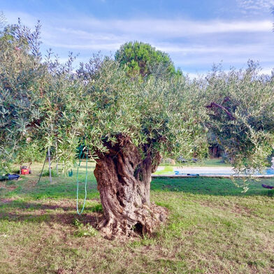 Maison 1 pièces 235000 €