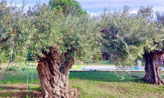 Maison 1 Pièce 70 m² à vendre à Montfrin (30490)