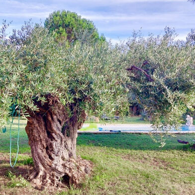 Maison 1 pièces 235000 €