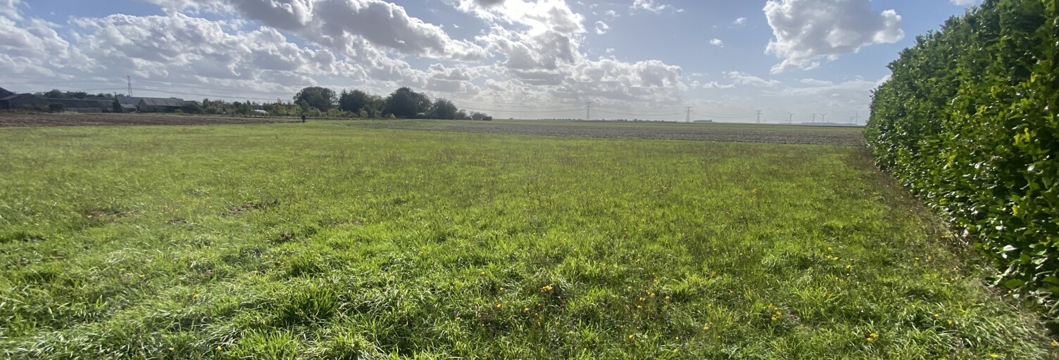 Terrain  1520 m² à vendre à Bazoches-les-Gallerandes (45480)