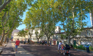 Appartement 1 Pièce 33 m² à vendre à Montpellier (34000)