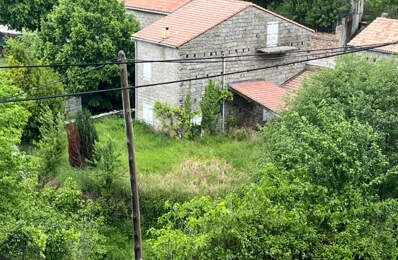 EXCLUSIVITE - MAISON DE VILLAGE EN PIERRES  - ZICAVO — photo du bien
