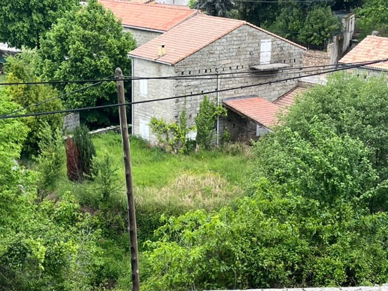 EXCLUSIVITE - MAISON DE VILLAGE EN PIERRES  - ZICAVO — photo 1